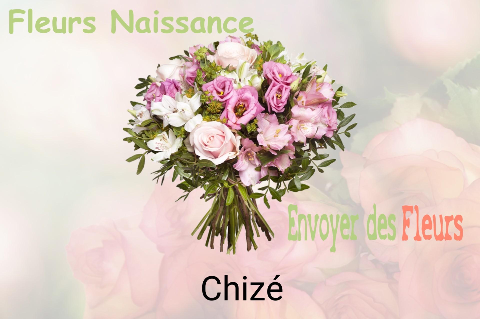 Bouquet de fleurs de naissance livré à Chizé